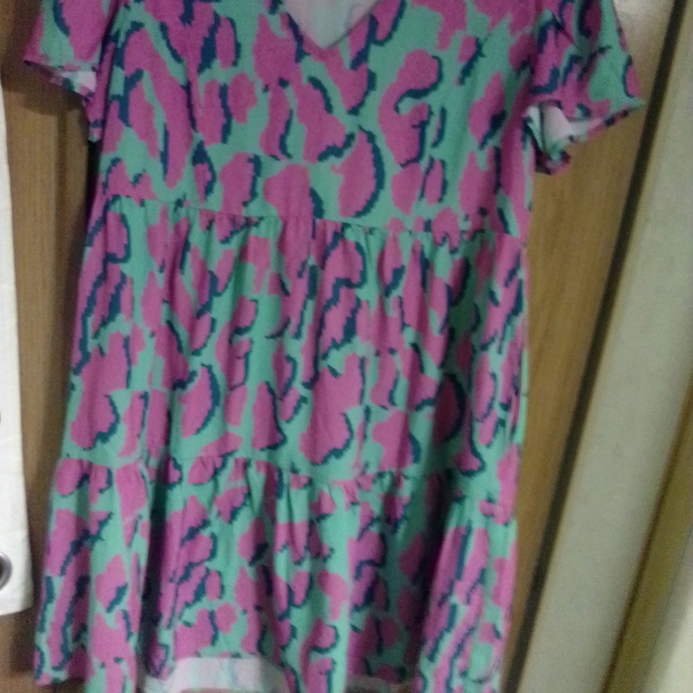 Umgee Pink and Green Maxi Dress